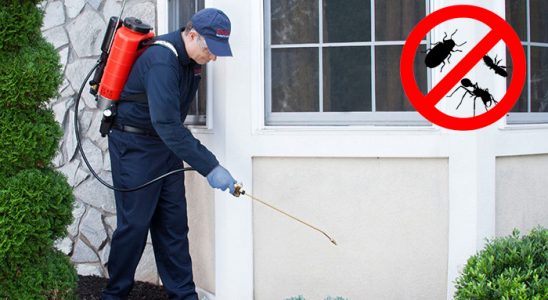 Arapgir Kene İlaçlama böcek ilaçlama ve haşere kontrolü — ilaclama-tr.com